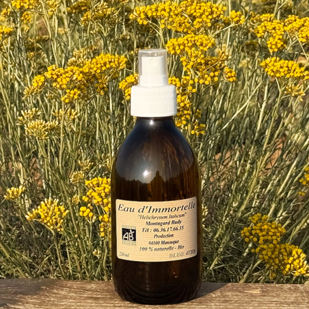 Organic Helichrysum Floral Water - Immortelle Hydrosol