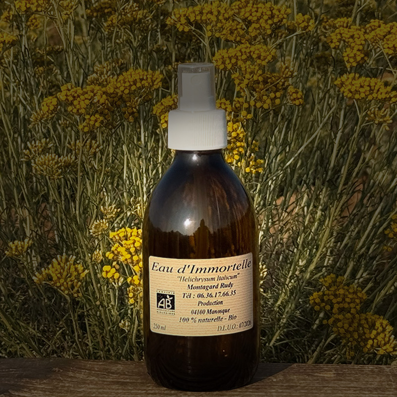Organic Helichrysum Floral Water - Immortelle Hydrosol
