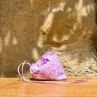 Sac Coeur