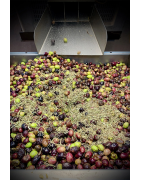 Olive Oil Flavored with Thyme and Rosemary - Flavors of Provence