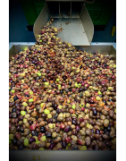 Chili-Flavored Olive Oil - Spice Up your Dishes with a Few Drops