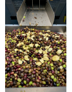Garlic-Flavored Olive Oil - Taste of Mediterranean Cuisine