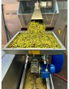 Huile d'Olive Aromatisée - Goût et Tradition Artisanale  de Provence
