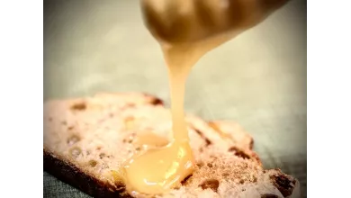 Honey from Provence, "The Golden Nectar"