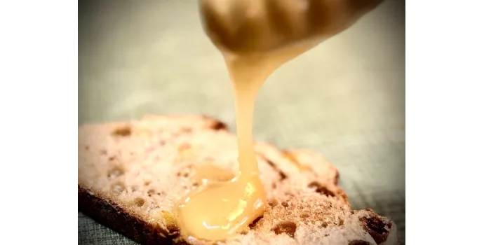 Honey from Provence, "The Golden Nectar"