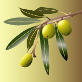 Olive oil